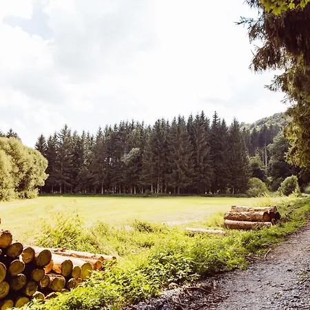 Leaf Op Het Terrein Woltzdal *