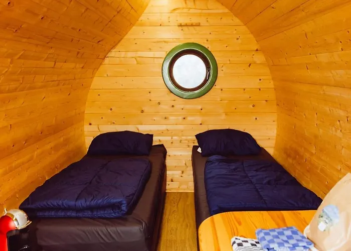 Kemp Leaf Op Het Terrein Woltzdal Boxhorn