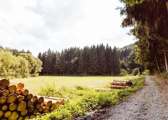 Leaf Op Het Terrein Woltzdal *