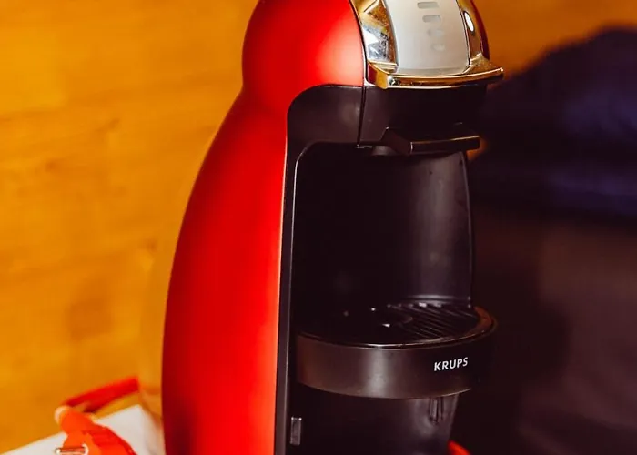 Leaf Op Het Terrein Woltzdal * Boxhorn